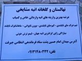 نهالستان و گلخانه انبه مشایخی